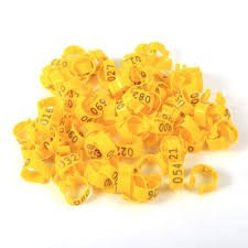 hønseringe, Ø16mm 20stk gul hønseringe, Ø16mm 20stk gul