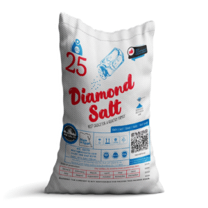 salt sekkur 25 kg