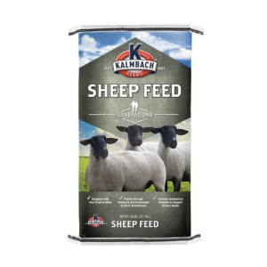fóður sleikisteinur til seyð 10 kg
